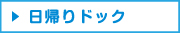 side日帰り.jpg